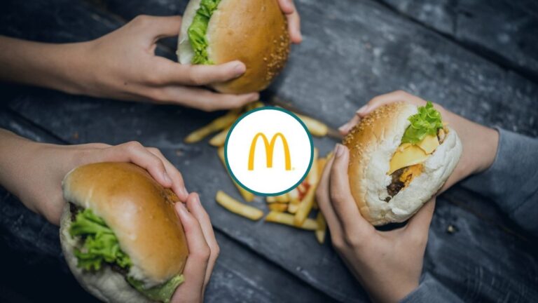 HOMiES Bedrijfsprofiel McDonalds