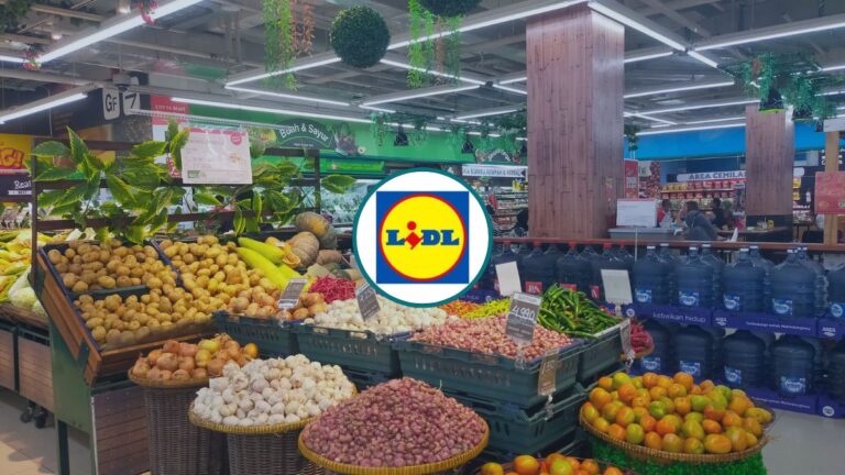 HOMiES-Bedrijfsprofiel-Lidl