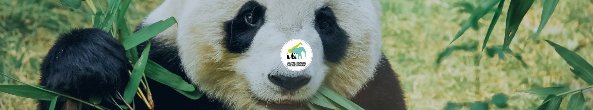 HOMiES Bedrijfsprofiel Ouwehands Dierenpark