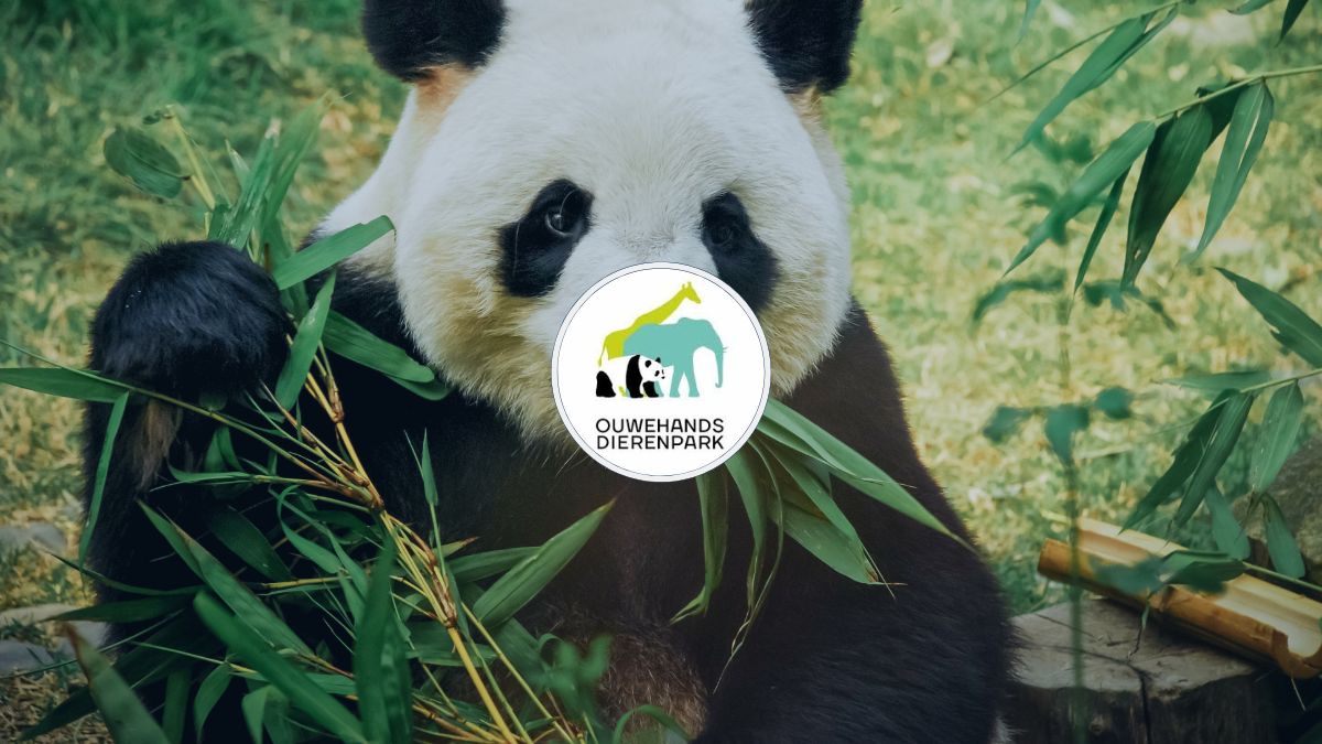 HOMiES Bedrijfsprofiel Ouwehands Dierenpark