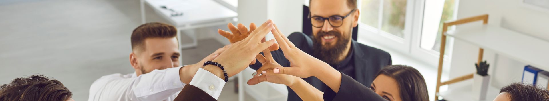 HOMiES Whitepaper Sales Leadership Header
