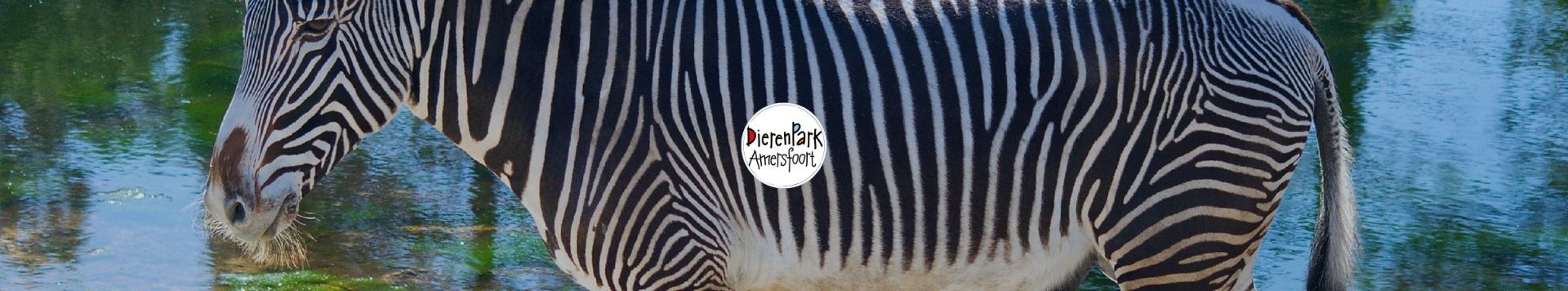 HOMiES Bedrijfsprofiel Dierenpark Amersfoort
