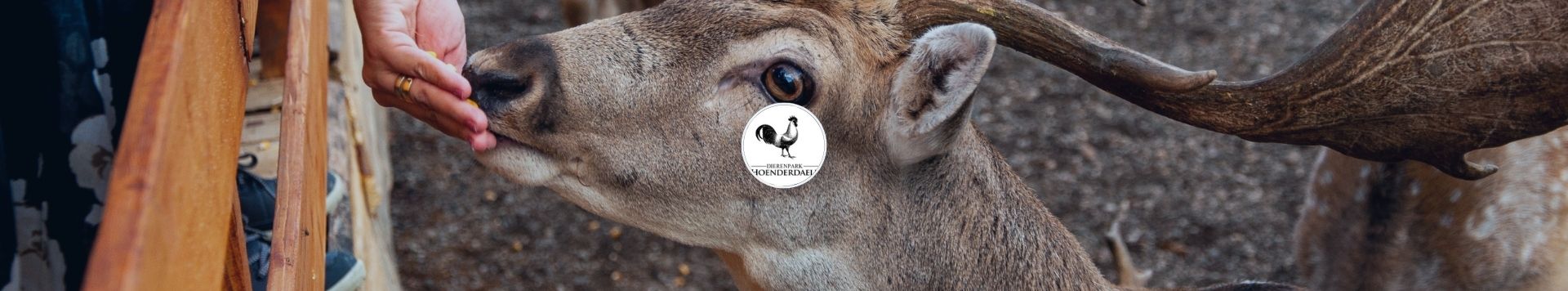 HOMiES Bedrijfsprofiel Dierenpark Hoenderdaell