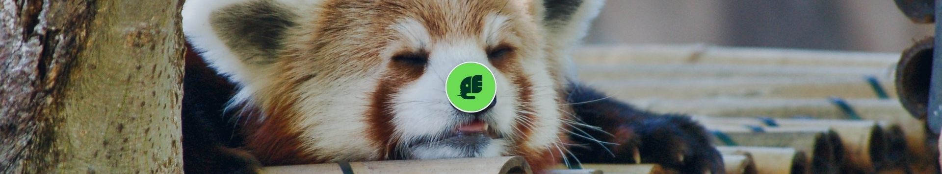 HOMiES Bedrijfsprofiel Einhoven Zoo