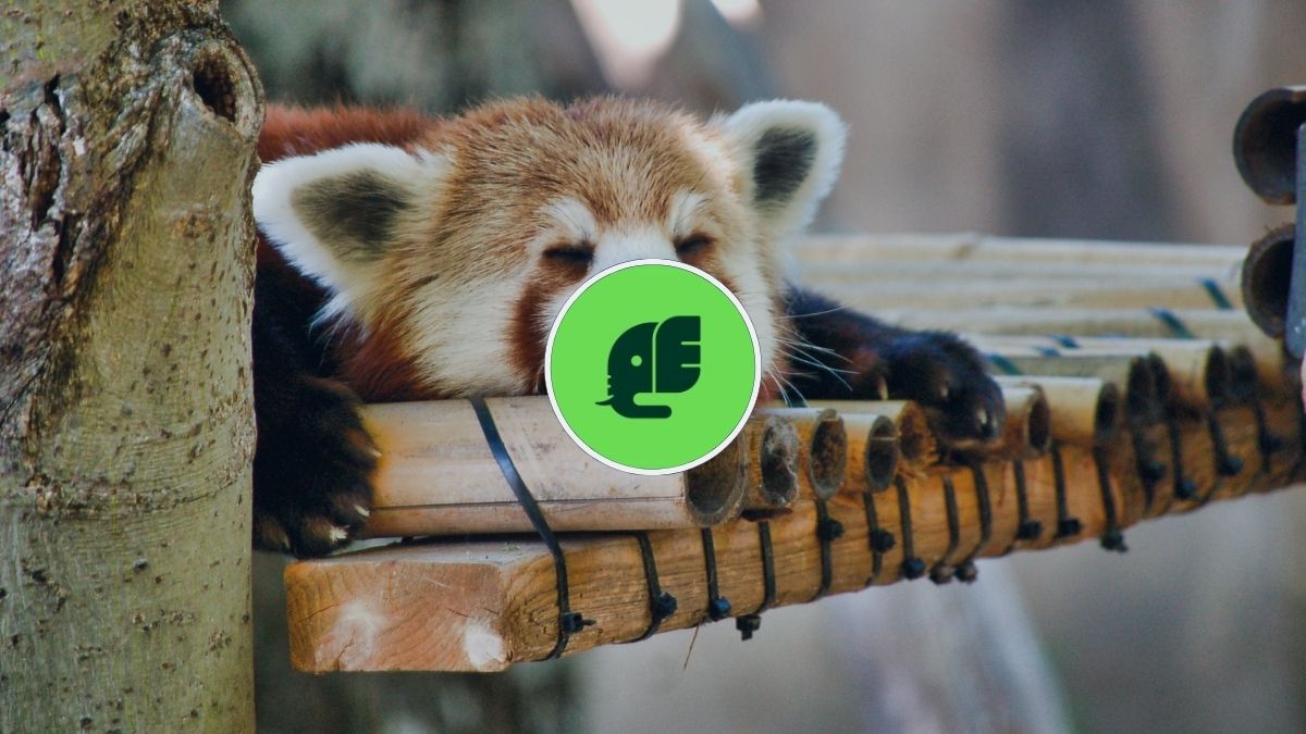 HOMiES Bedrijfsprofiel Einhoven Zoo