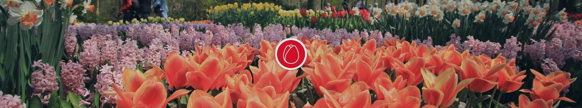 HOMiES Bedrijfsprofiel Keukenhof