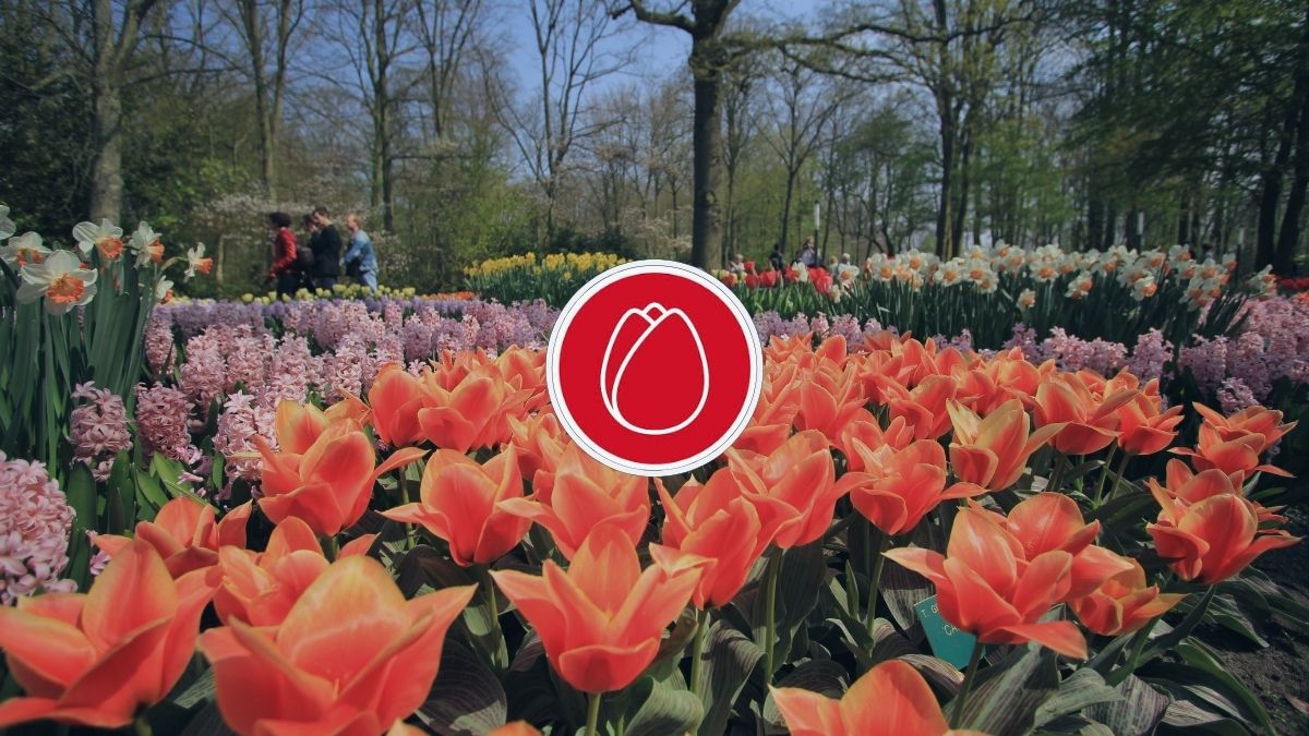 HOMiES Bedrijfsprofiel Keukenhof