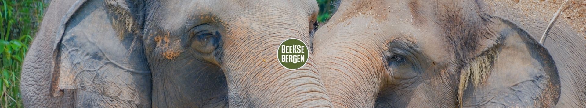 HOMiES Bedrijfsprofiel Safaripark Beekse Bergen