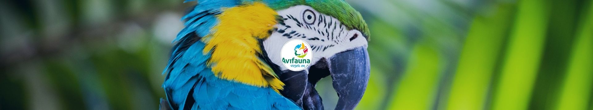 HOMiES Bedrijfsprofiel Vogelpark Avifauna