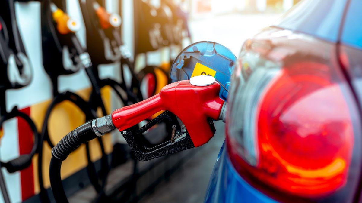 HOMiES Kanaalinzichten Petrolmarkt