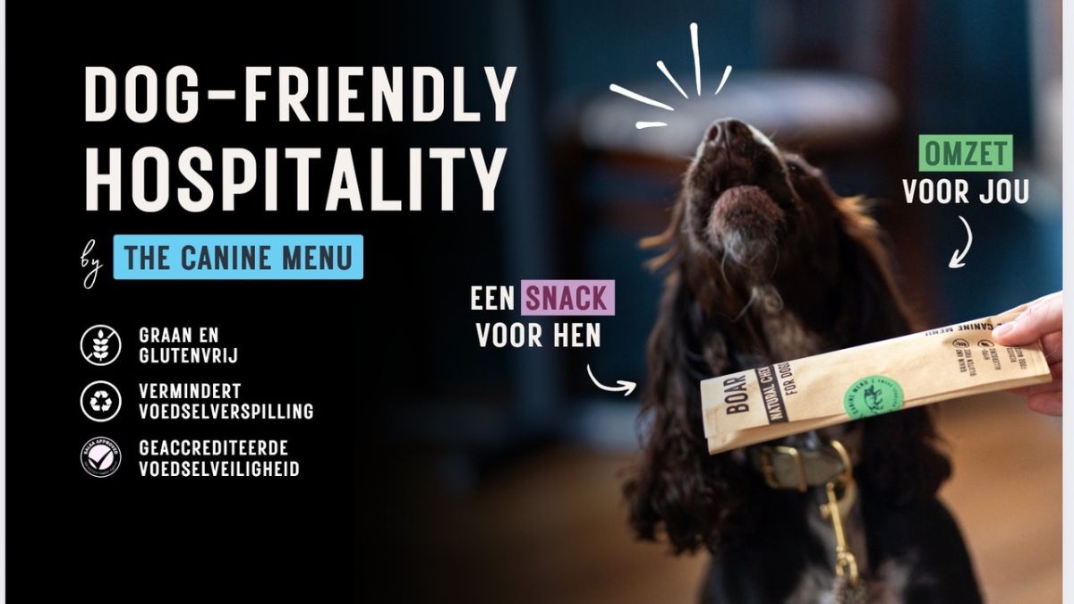 HOMiES StartUp Interview The Canine Menu 3
