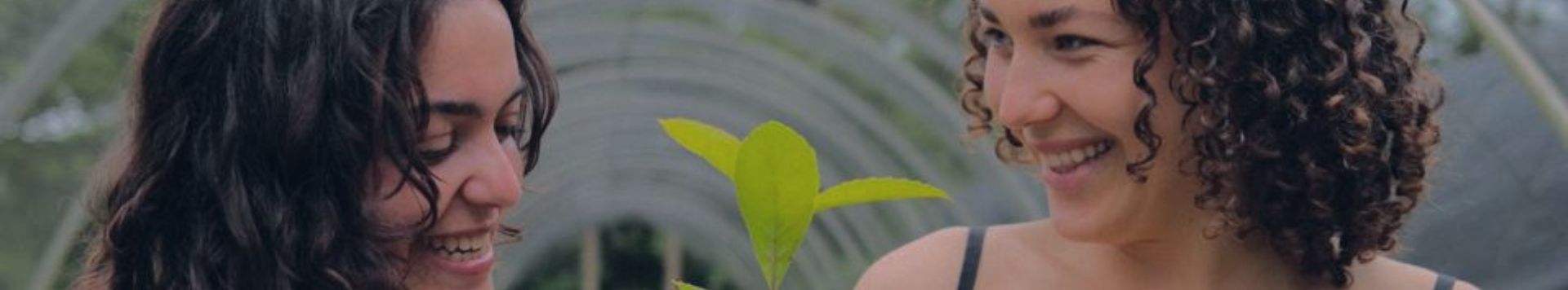 HOMiES StartUps Mati Yerba Mate 1